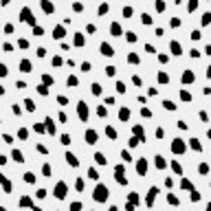 Meet your Posher, Abigail